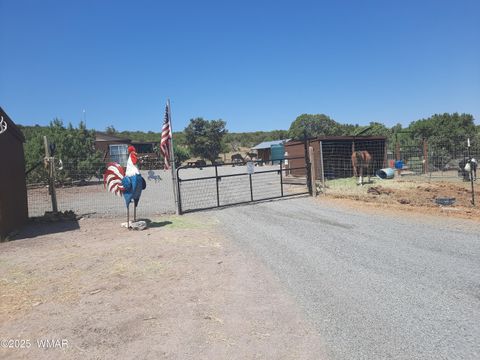 Photo of 9952 S Buffalo Ridge Drive, Show Low, AZ 85901 (MLS # 256898)