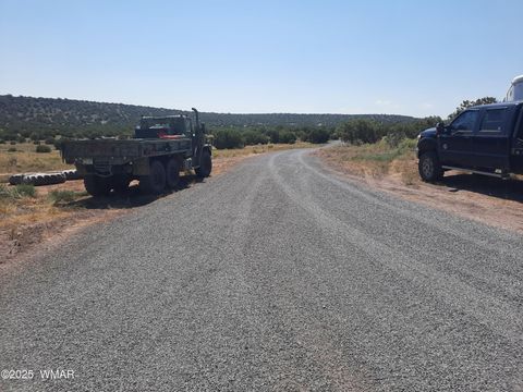 Tiny photo for 9952 S Buffalo Ridge Drive, Show Low, AZ 85901 (MLS # 256898)