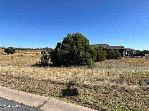 Photo of 681 S Rock Ridge Drive, Show Low, AZ 85901 (MLS # 260080)