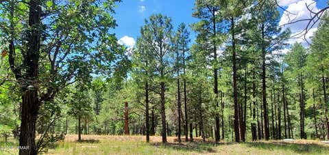 Photo of 2526 Well Water Road, Happy Jack, AZ 86024 (MLS # 262034)