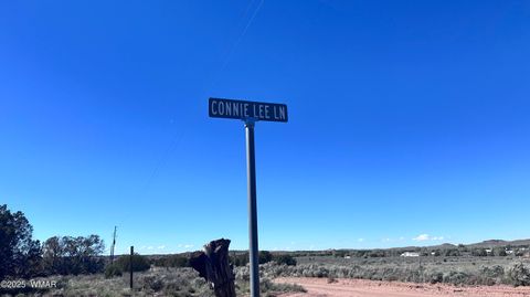 Tiny photo for 5100 Falcon Drive, Taylor, AZ 85939 (MLS # 258409)