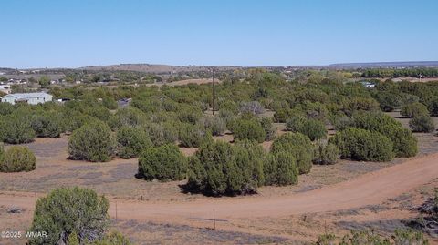 Tiny photo for 5100 Falcon Drive, Taylor, AZ 85939 (MLS # 258409)