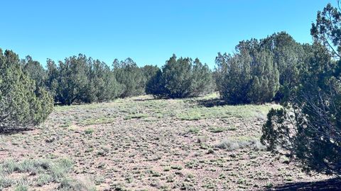 Tiny photo for 5100 Falcon Drive, Taylor, AZ 85939 (MLS # 258409)