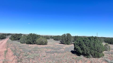 Tiny photo for 5100 Falcon Drive, Taylor, AZ 85939 (MLS # 258409)