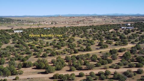 Tiny photo for 5100 Falcon Drive, Taylor, AZ 85939 (MLS # 258409)