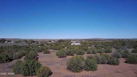 Tiny photo for 5100 Falcon Drive, Taylor, AZ 85939 (MLS # 258409)