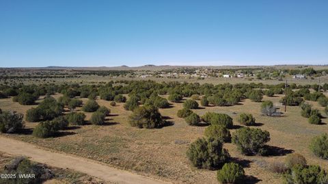 Tiny photo for 5100 Falcon Drive, Taylor, AZ 85939 (MLS # 258409)