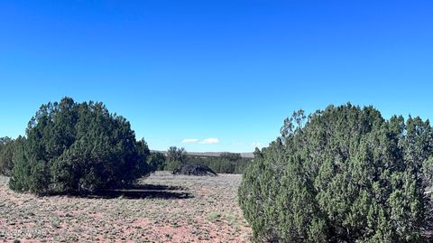 Tiny photo for 5100 Falcon Drive, Taylor, AZ 85939 (MLS # 258409)