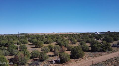 Tiny photo for 5100 Falcon Drive, Taylor, AZ 85939 (MLS # 258409)