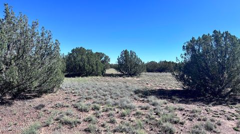 Tiny photo for 5100 Falcon Drive, Taylor, AZ 85939 (MLS # 258409)