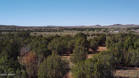 Tiny photo for 5100 Falcon Drive, Taylor, AZ 85939 (MLS # 258409)