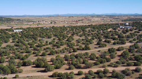 Tiny photo for 5100 Falcon Drive, Taylor, AZ 85939 (MLS # 258409)