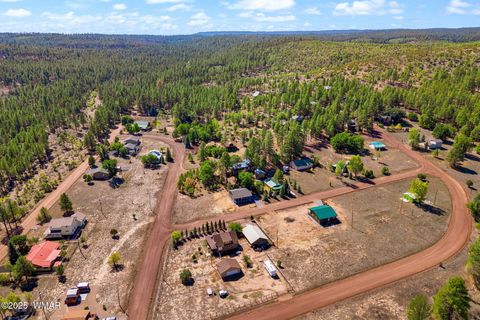 Tiny photo for 5523 Turkey Run Road, Pinedale, AZ 85934 (MLS # 258046)