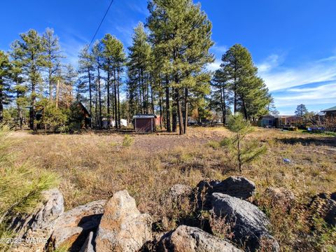 Tiny photo for 399 Riverside Drive, Lakeside, AZ 85929 (MLS # 258664)