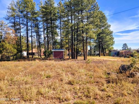 Tiny photo for 399 Riverside Drive, Lakeside, AZ 85929 (MLS # 258664)