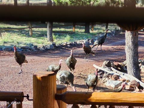 Tiny photo for 21 N 4037 Road, Greer, AZ 85927 (MLS # 259554)