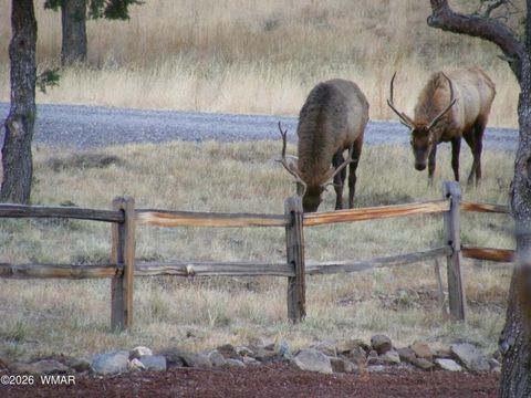 Tiny photo for 21 N 4037 Road, Greer, AZ 85927 (MLS # 259554)