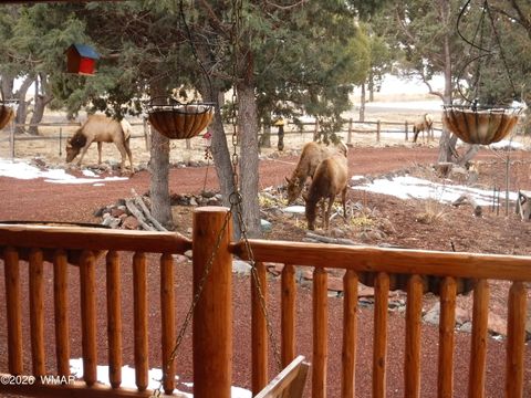 Tiny photo for 21 N 4037 Road, Greer, AZ 85927 (MLS # 259554)