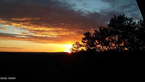 Tiny photo for 21 N 4037 Road, Greer, AZ 85927 (MLS # 259554)