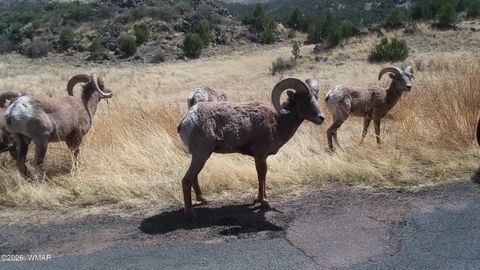 Tiny photo for 21 N 4037 Road, Greer, AZ 85927 (MLS # 259554)