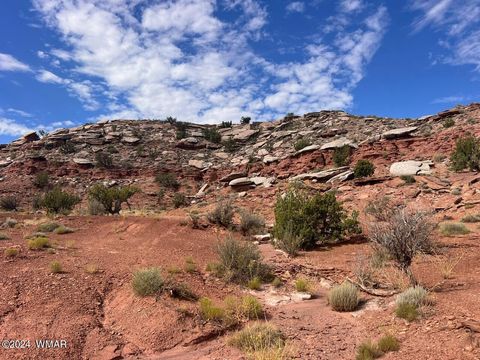 Tiny photo for 2345 W Ridgeview Ranch Drive, Snowflake, AZ 85937 (MLS # 252488)
