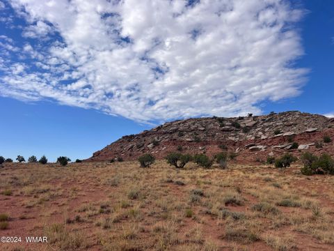 Photo of 2345 W Ridgeview Ranch Drive, Snowflake, AZ 85937 (MLS # 252488)