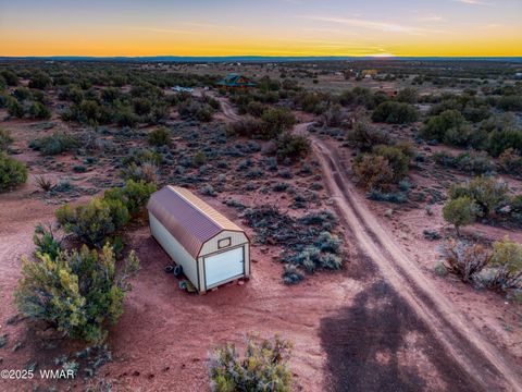 Tiny photo for 8555 Reata Lane, Snowflake, AZ 85937 (MLS # 258800)