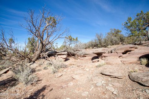 Tiny photo for 8555 Reata Lane, Snowflake, AZ 85937 (MLS # 258800)