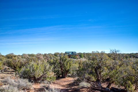 Tiny photo for 8555 Reata Lane, Snowflake, AZ 85937 (MLS # 258800)