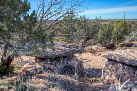 Tiny photo for 8555 Reata Lane, Snowflake, AZ 85937 (MLS # 258800)