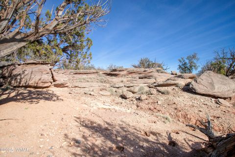 Tiny photo for 8555 Reata Lane, Snowflake, AZ 85937 (MLS # 258800)