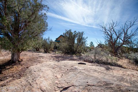 Tiny photo for 8555 Reata Lane, Snowflake, AZ 85937 (MLS # 258800)