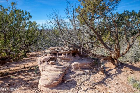 Tiny photo for 8555 Reata Lane, Snowflake, AZ 85937 (MLS # 258800)