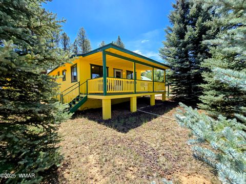 Tiny photo for 5519 Turkey run Road, Pinedale, AZ 85934 (MLS # 257597)