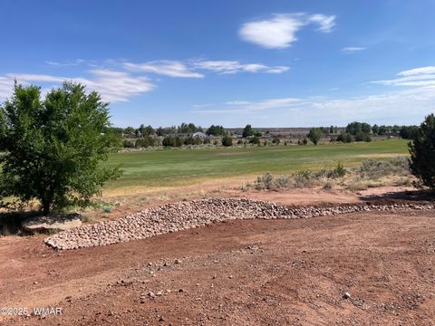 Tiny photo for 2512 W Northview Rd Rd, Snowflake, AZ 85937 (MLS # 256706)