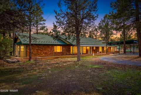 Photo of 3121 Cedar Drive, Overgaard, AZ 85933 (MLS # 260346)