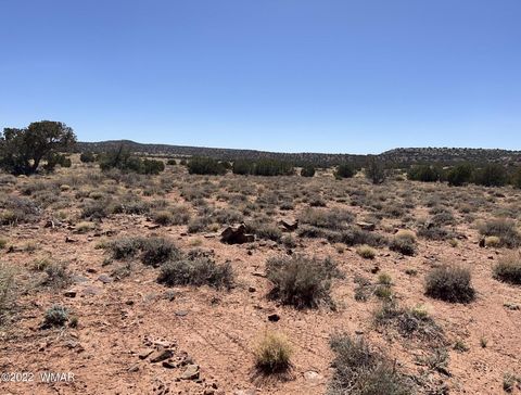 Tiny photo for 3865 Dia Estrella Road, Snowflake, AZ 85937 (MLS # 240802)
