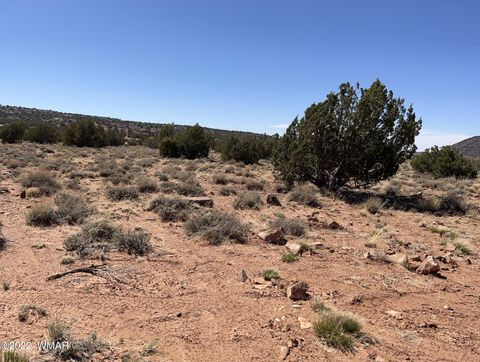 Tiny photo for 3865 Dia Estrella Road, Snowflake, AZ 85937 (MLS # 240802)