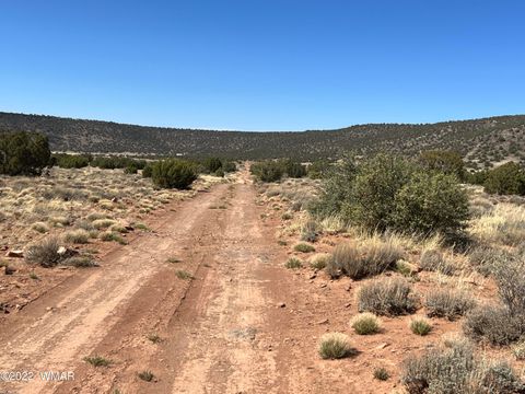 Tiny photo for 3865 Dia Estrella Road, Snowflake, AZ 85937 (MLS # 240802)