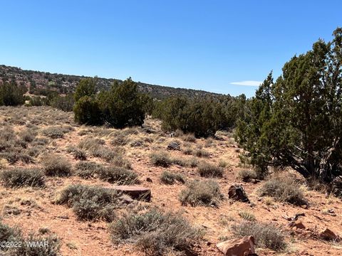 Tiny photo for 3865 Dia Estrella Road, Snowflake, AZ 85937 (MLS # 240802)