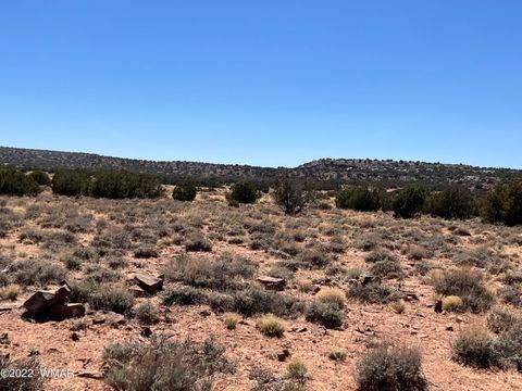 Tiny photo for 3865 Dia Estrella Road, Snowflake, AZ 85937 (MLS # 240802)