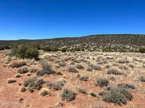 Tiny photo for 3865 Dia Estrella Road, Snowflake, AZ 85937 (MLS # 240802)