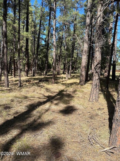 Tiny photo for TBD S Pine Meadow Lane, Pinetop, AZ 85935 (MLS # 253279)