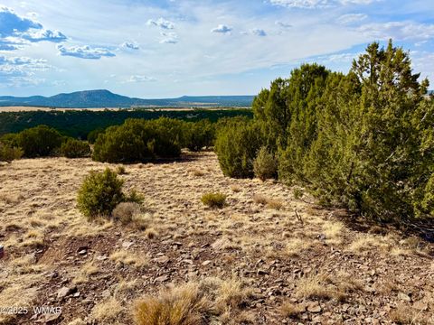 Tiny photo for TBD Co Rd N3109 9.11 Acres, Vernon, AZ 85940 (MLS # 257672)