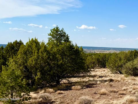 Tiny photo for TBD Co Rd N3109 9.11 Acres, Vernon, AZ 85940 (MLS # 257672)