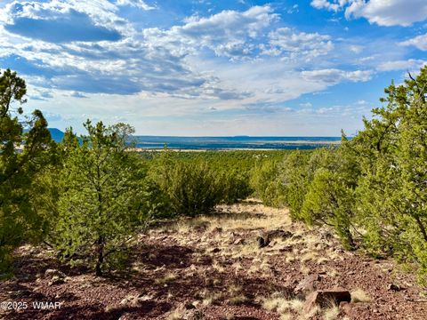 Tiny photo for TBD Co Rd N3109 9.11 Acres, Vernon, AZ 85940 (MLS # 257672)