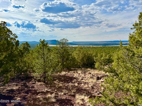 Tiny photo for TBD Co Rd N3109 9.11 Acres, Vernon, AZ 85940 (MLS # 257672)