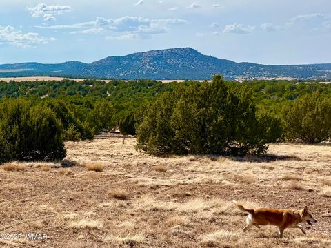 Tiny photo for TBD Co Rd N3109 9.11 Acres, Vernon, AZ 85940 (MLS # 257672)