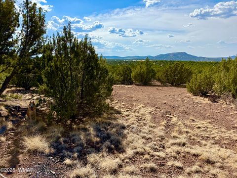 Tiny photo for TBD Co Rd N3109 9.11 Acres, Vernon, AZ 85940 (MLS # 257672)