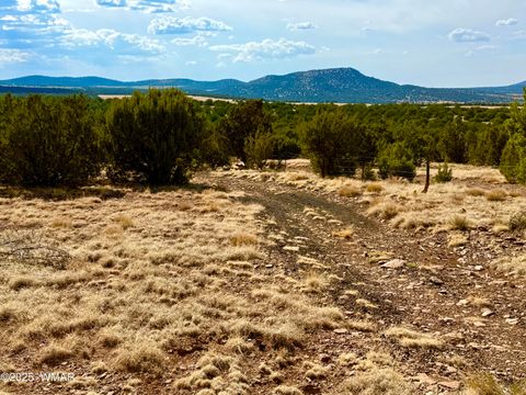 Tiny photo for TBD Co Rd N3109 9.11 Acres, Vernon, AZ 85940 (MLS # 257672)